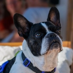 Программы лояльности казино без депозита - новые возможности заработка