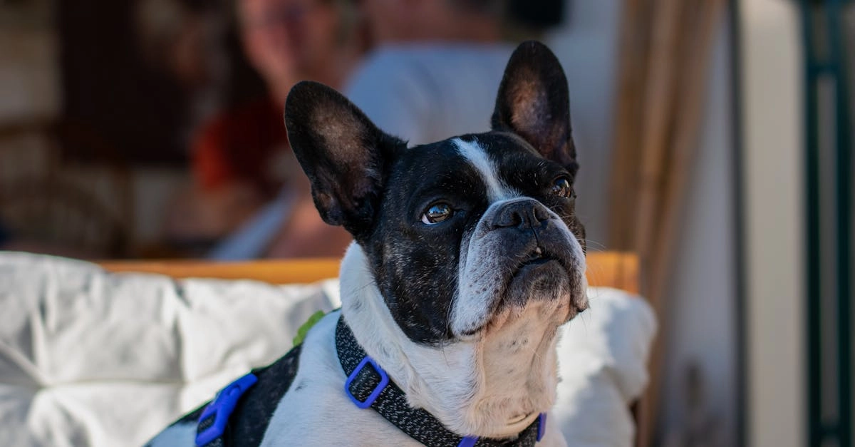 Программы лояльности казино без депозита - новые возможности заработка